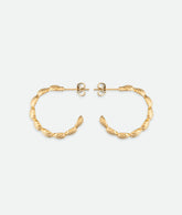 Shell Hoop Earrings