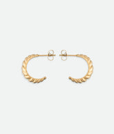 Croissant Hoop Earrings