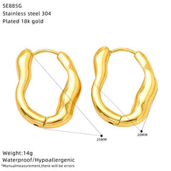 Cross border fashion between Europe and America, cold and high-end, irregular design, trendy and cool, versatile titanium steel earrings, wholesale for women