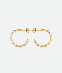 Shell Hoop Earrings